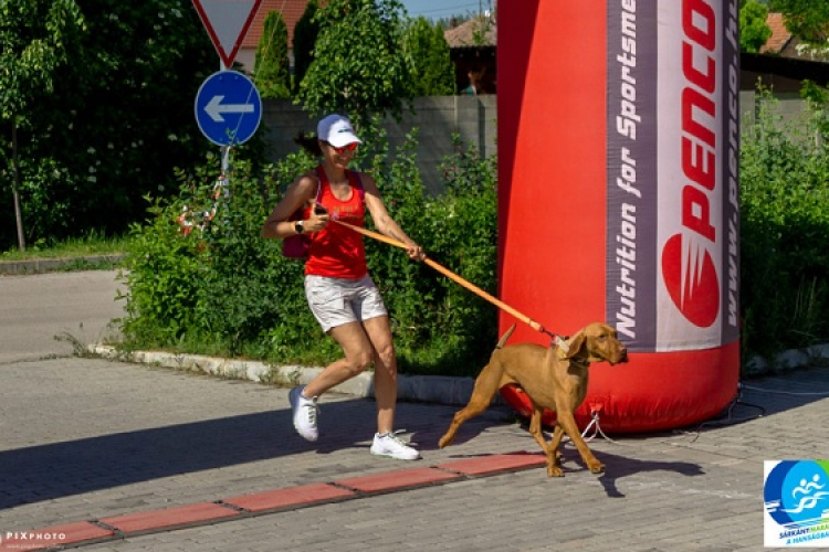 Sárkány Maraton a Szigetközi Állatvédő Liga támogatására