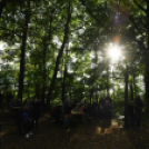 Őszi koncert az erdő tiszteletére – a zene világnapján Szanyban