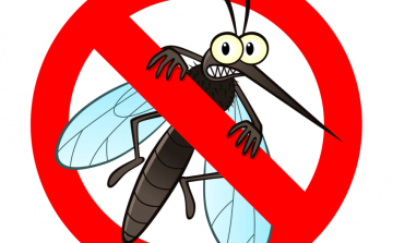Katasztrófavédelem: 85 ezer hektárom irtják a héten a szúnyogokat