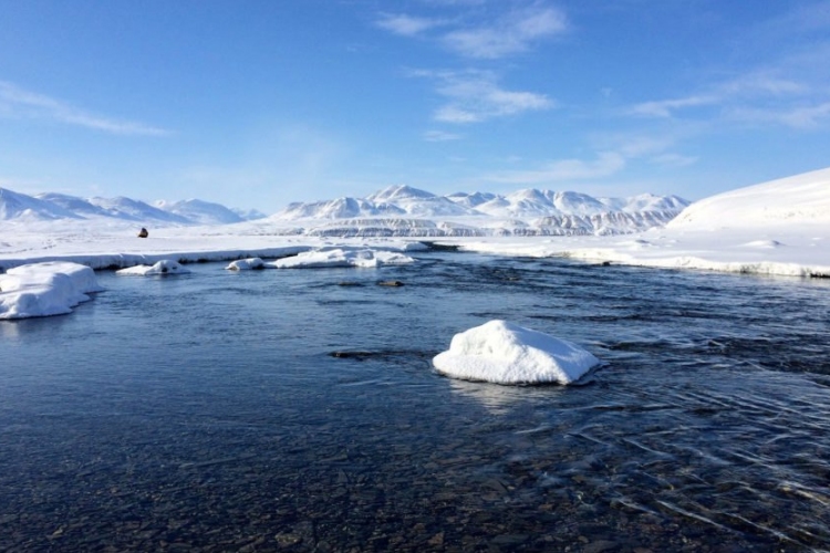 Drámaian megváltoztatta a legnagyobb északi-sarkvidéki tavat a klímaváltozás