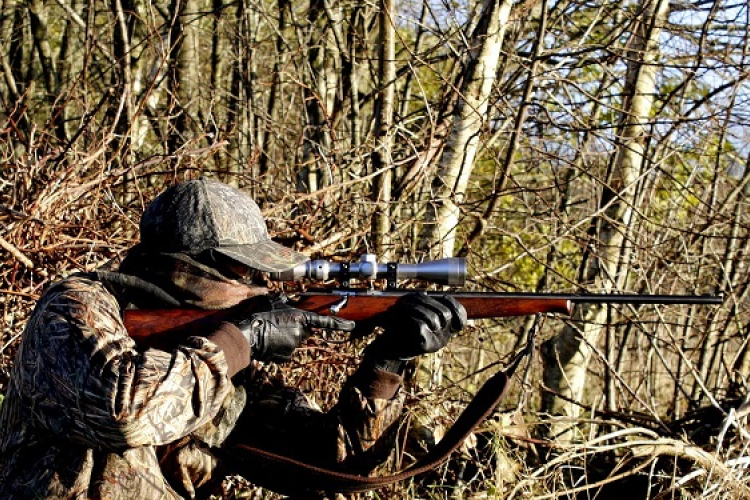 Erdőlátogatási korlátozás vadászat miatt