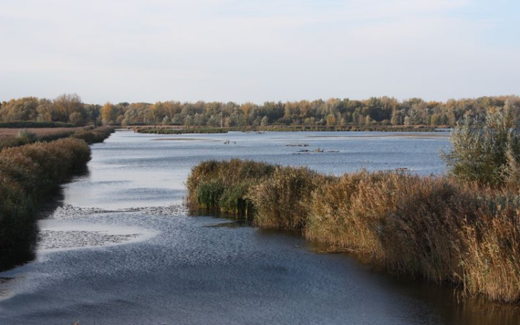 A Fertő-Hanság Nemzeti Park kiadványsorozata a védett területek látogatóinak