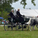 Árpási Fogathajtó Verseny