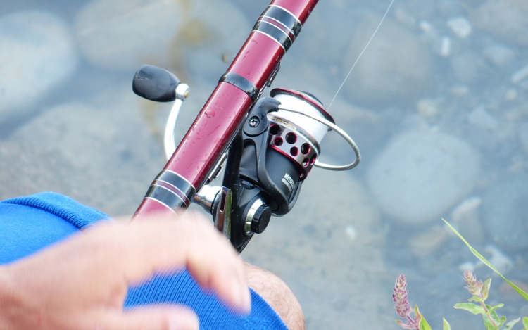 Új horgász rend a Fertő-tavon