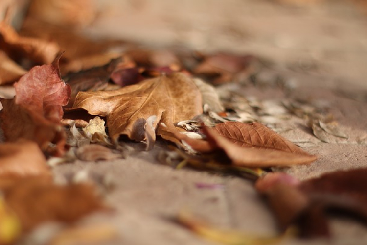 Égessünk, vagy ne égessünk?