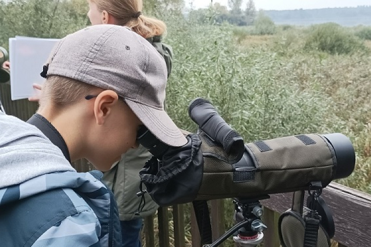 Madarakat számoltak a Hanságban