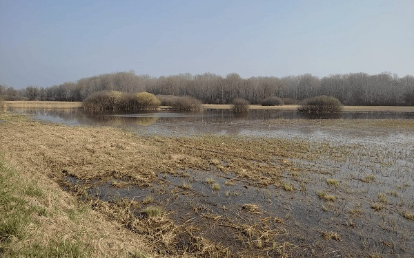 Tavaszi túrák a Fertő-Hanság Nemzeti Parkban