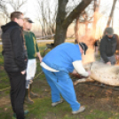 Hagyományőrző disznóvágás Vágon! 