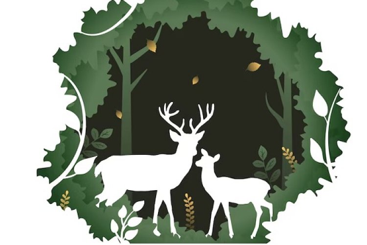 Vadon élő állatok és vadászat