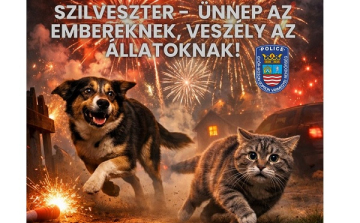 A szilveszteri tűzijátékokról és petárdázásról