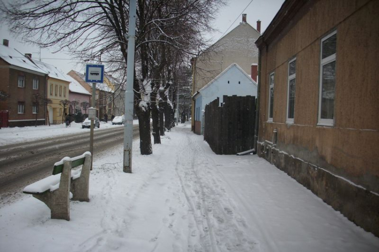 Ilyen tavasz volt ezen a héten Kapuváron