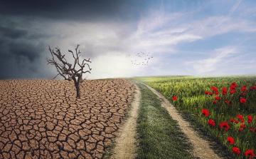 Egyszerre érkező klímakockázatok