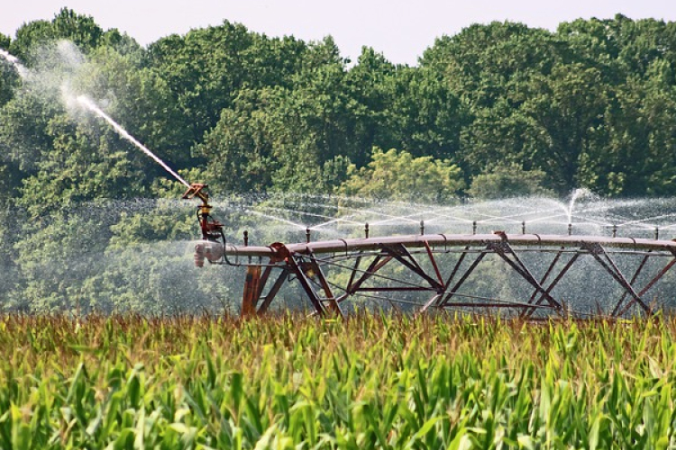 Módosították a mezőgazdasági öntözési kutakra vonatkozó hatásköröket