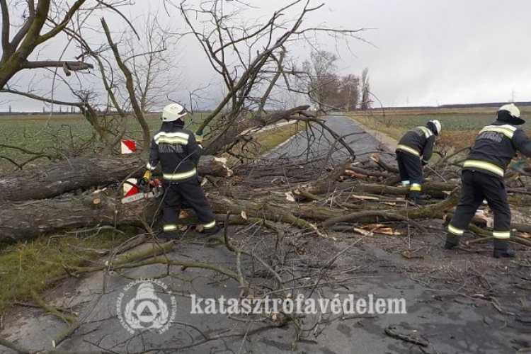 Fákat döntött az útra, Kapuváron tetőt rongált a szél