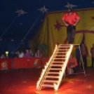 A Richter Cirkusz előadása Szanyban