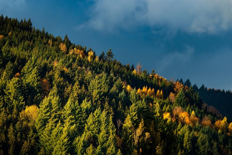 Az USA távozása után Európa volt a klímakonferencia főszereplője