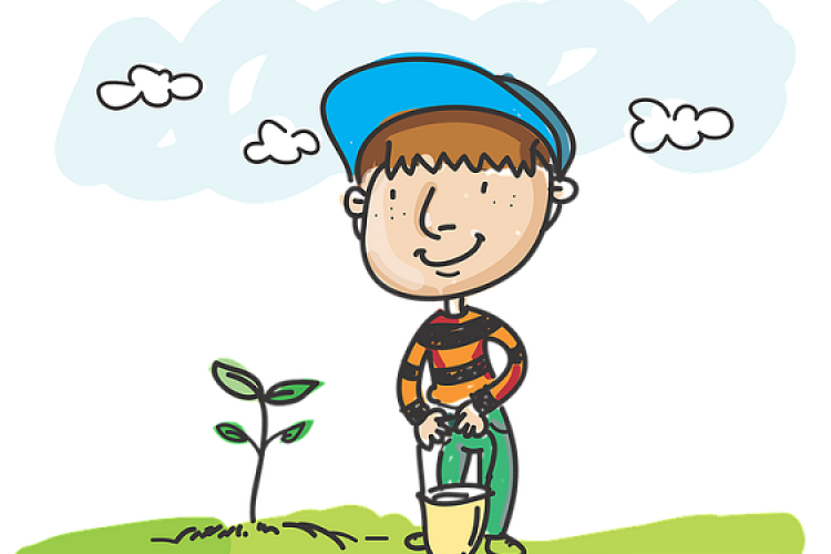 Település fásítás Barbacson