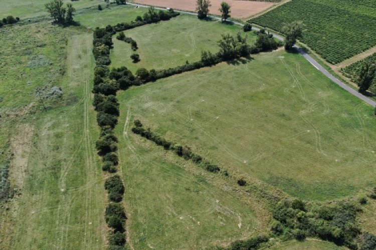 Kaszálások bejelentése a Natura 2000 területeken