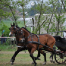 Fogathajtó verseny Bágyogszováton