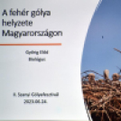 Szany II. Gólyafesztivál egyéb programjai.