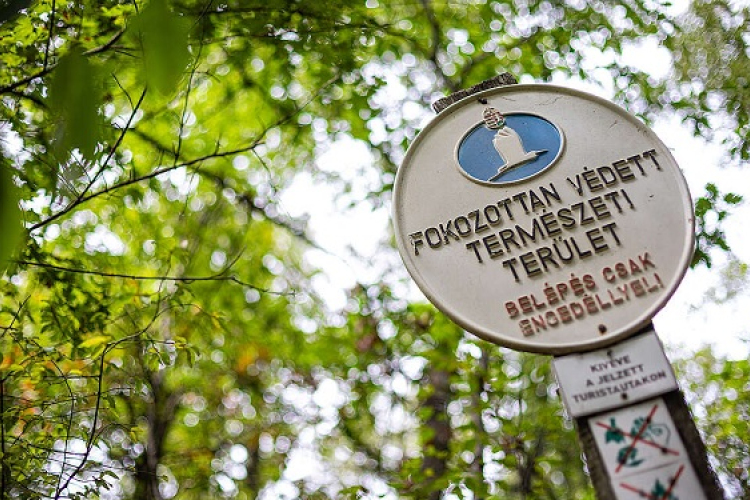 Erdővédelem Magyarországon