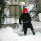 Szanyban sem ette meg a kutya a telet