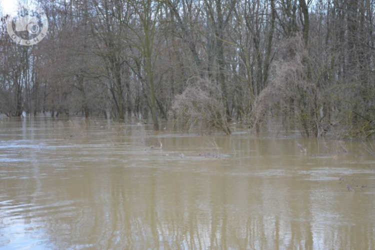 Bodonhelynél is tetőzött a Rába