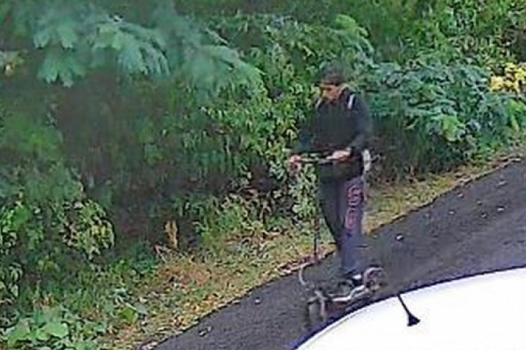 Rollert lopott. Felismeri?