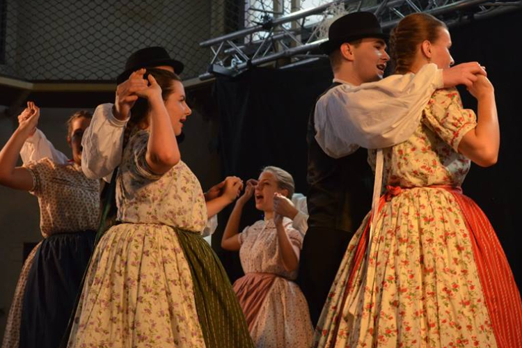 Néptáncos jótékonysági bál Kapuváron