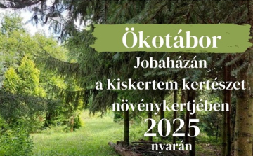 Nyári ökotáborok Jobaházán