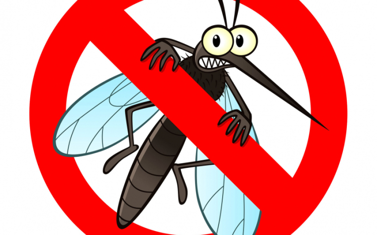 Katasztrófavédelem: 90 ezer hektáron gyérítik a szúnyogokat
