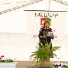 Egy kis község nagy napja. Falunap Árpáson. (2026. 06. 20.)
