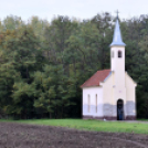 Szent Vendel napi búcsú Szanyban