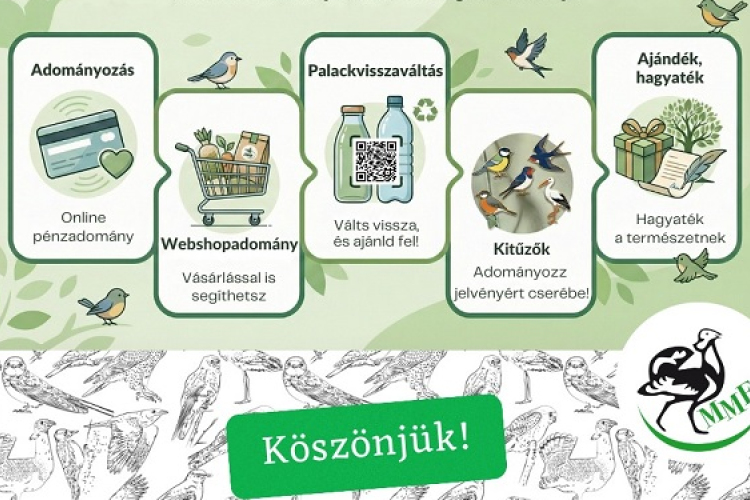 Te is tehetsz a madarakért – akár ma!