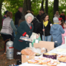 Őszi koncert az erdő tiszteletére – a zene világnapján Szanyban