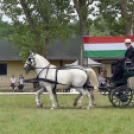 Árpási Fogathajtó Verseny