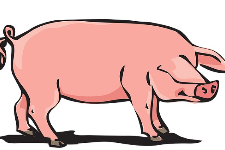 Ki készíti a legjobb disznótoros ételeket Szilsárkányban?