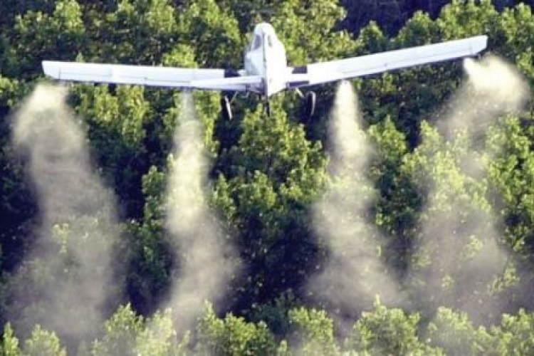 Légi és földi rovarirtás lesz a Csongrád megyében a kéknyelv-betegség miatt