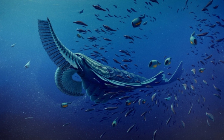 Több száz millió éves rákszerű teremtmény kövületére bukkantak Grönlandon