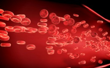 Vérben lévő antitest jelezheti előre a szklerózis multiplexet