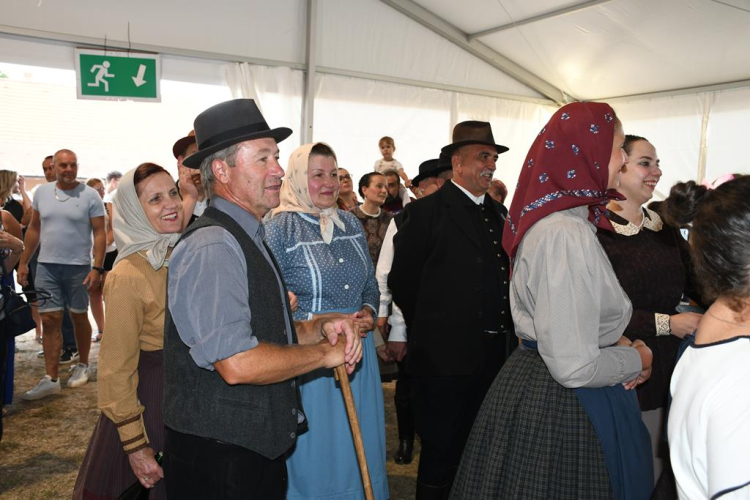 Szanyi búcsú vasárnap délután (2026. 07. 26.)