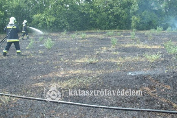 Egyre több munkát adnak a tűzoltóknak a szabadtéren gyulladó tüzek