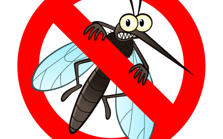 Tizenhárom vármegyében és a fővárosban gyérítik a héten a szúnyogokat