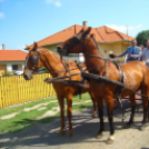 Lovastalálkozó Győrsövényházon