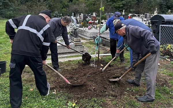 Fát ültettek és a temetőt rendezték Szilban