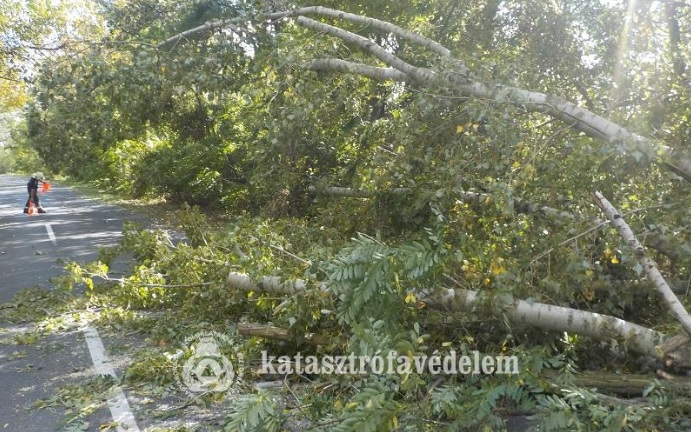 A viharos szél a tűzoltóknak is sok munkát adott