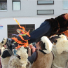 Farsangi felvonulás és mulatság a Pántlikával