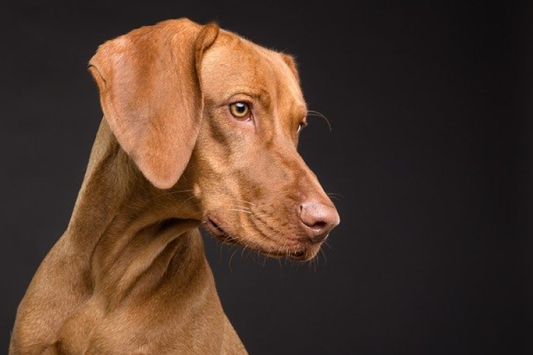 Eboltás Szilban és Zsebeházán