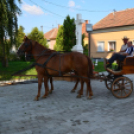 Falunap Rábakecölben.