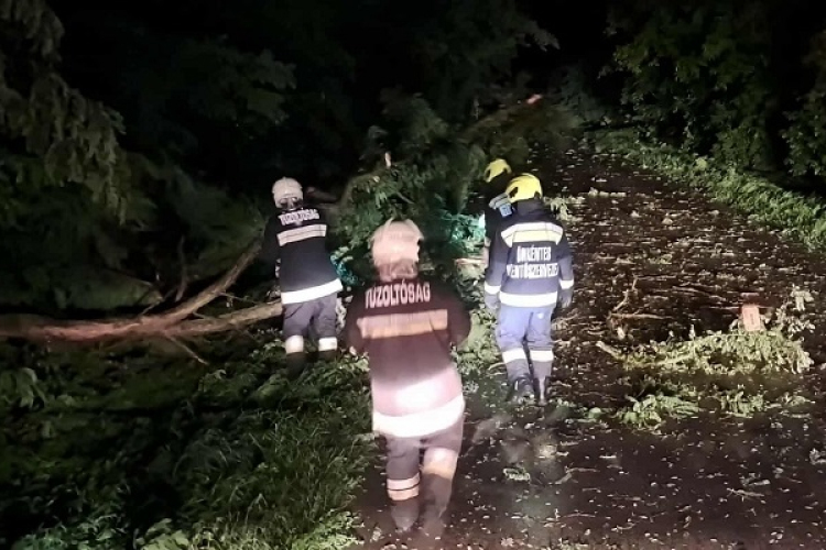 A hétvégi viharok sok munkát adtak a tűzoltóknak